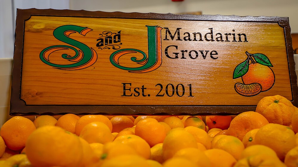 Sumo Oranges Are Easy to Peel and Sweeter Than Clementines