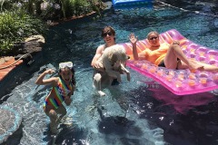 swimming-pool-with-dog